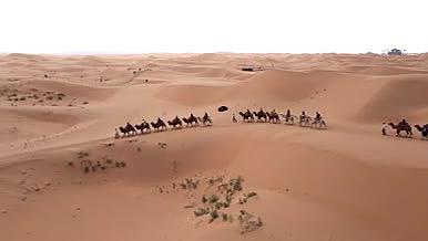 4k航拍宁夏中卫沙坡头沙漠骆驼队视频的预览图